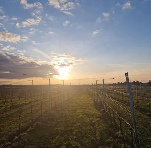 Beethoven29 / Mit Garten Direkt In * Kremže